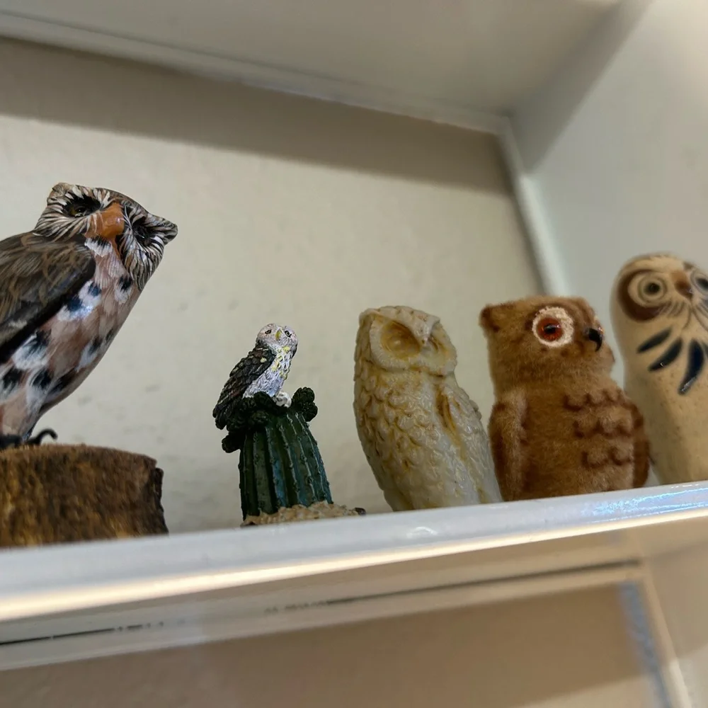Vintage Charming Owl Figurine Set bundle deal Multicolor Home Decor collectible